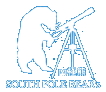South Pole Bear Icon