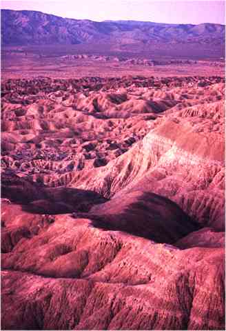 Anza Borrego Desert CA, USA 1992